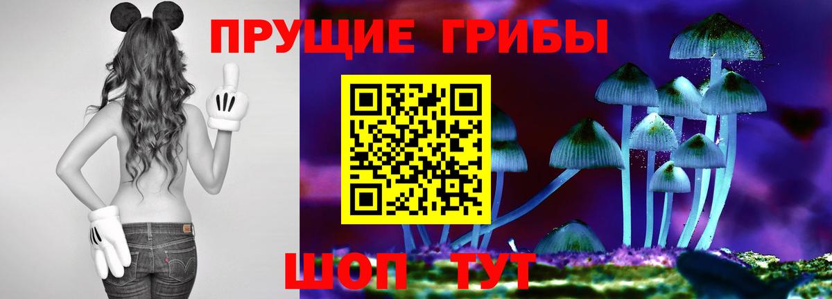 Псилоцибиновые грибы мицелий Ангарск